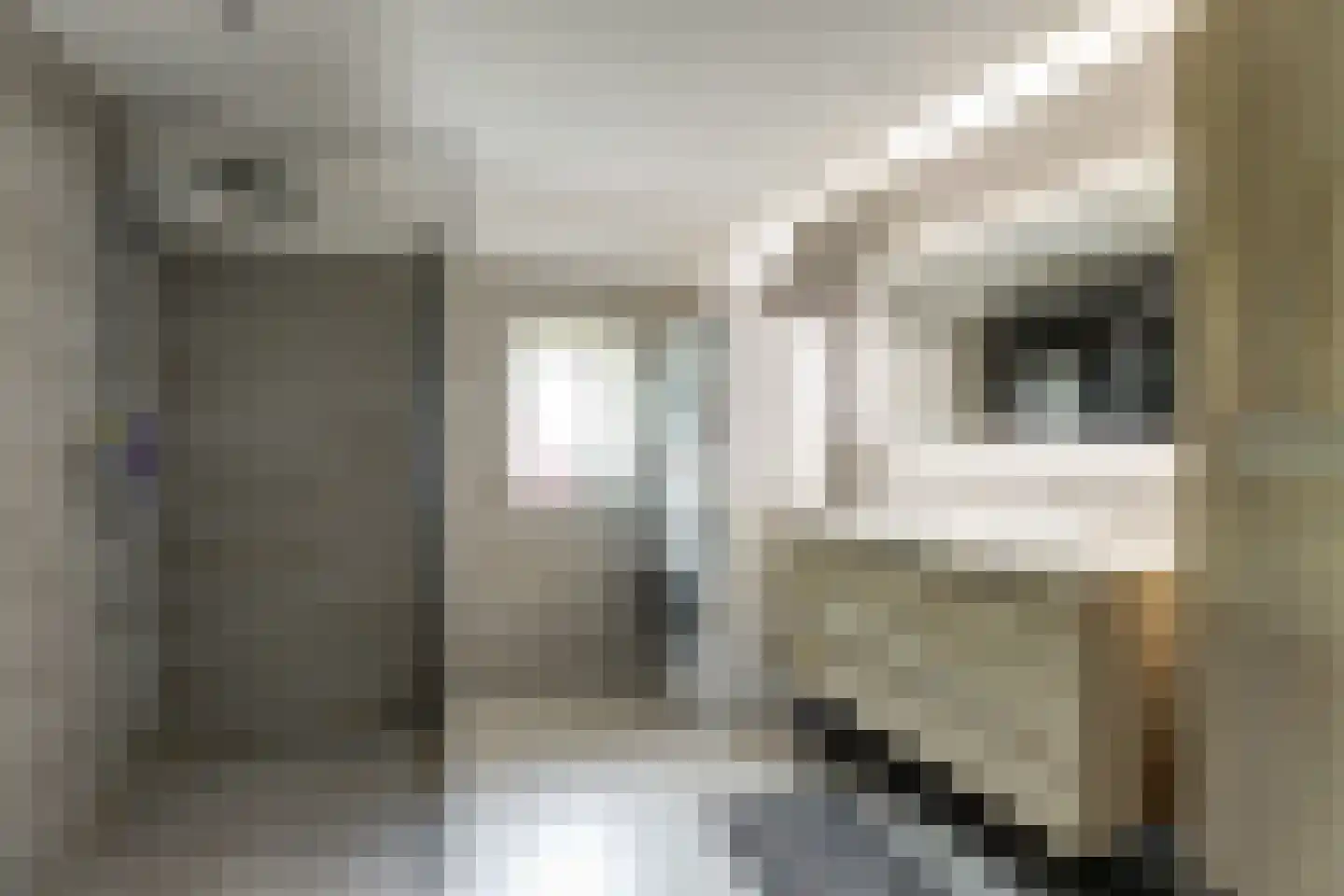 Dorpsstraat 48 Zuidlaarderveen thumbnail 32