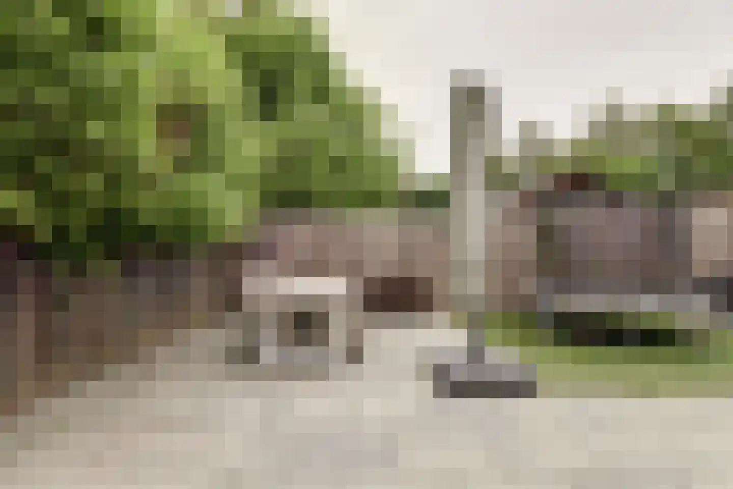 Dorpsstraat 48 Zuidlaarderveen thumbnail 33