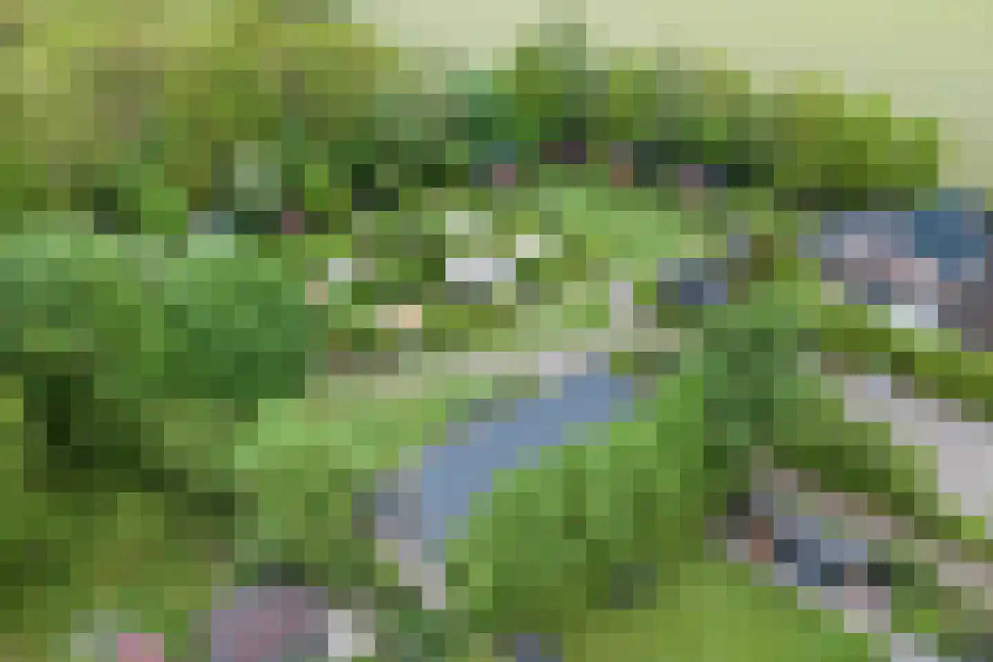 Dorpsstraat 48 Zuidlaarderveen thumbnail 39