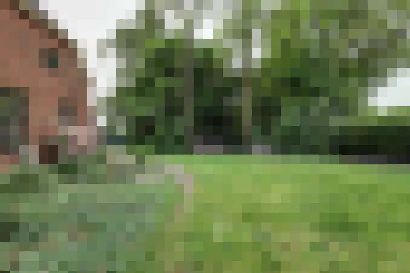 Dorpsstraat 48 Zuidlaarderveen thumbnail 4