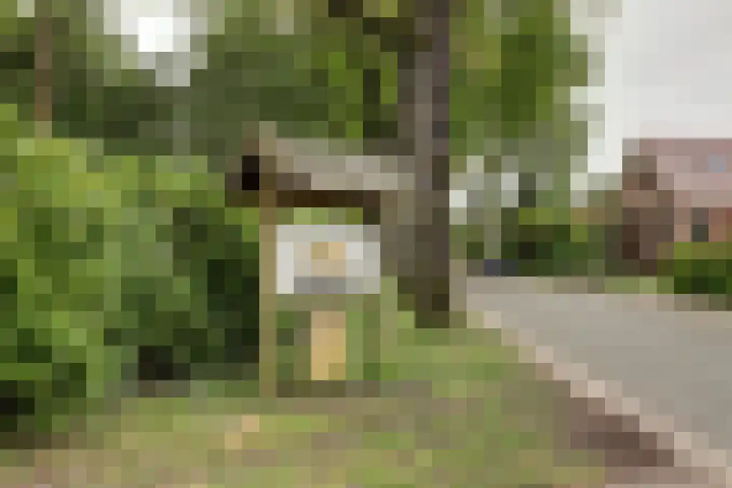 Dorpsstraat 48 Zuidlaarderveen thumbnail 41