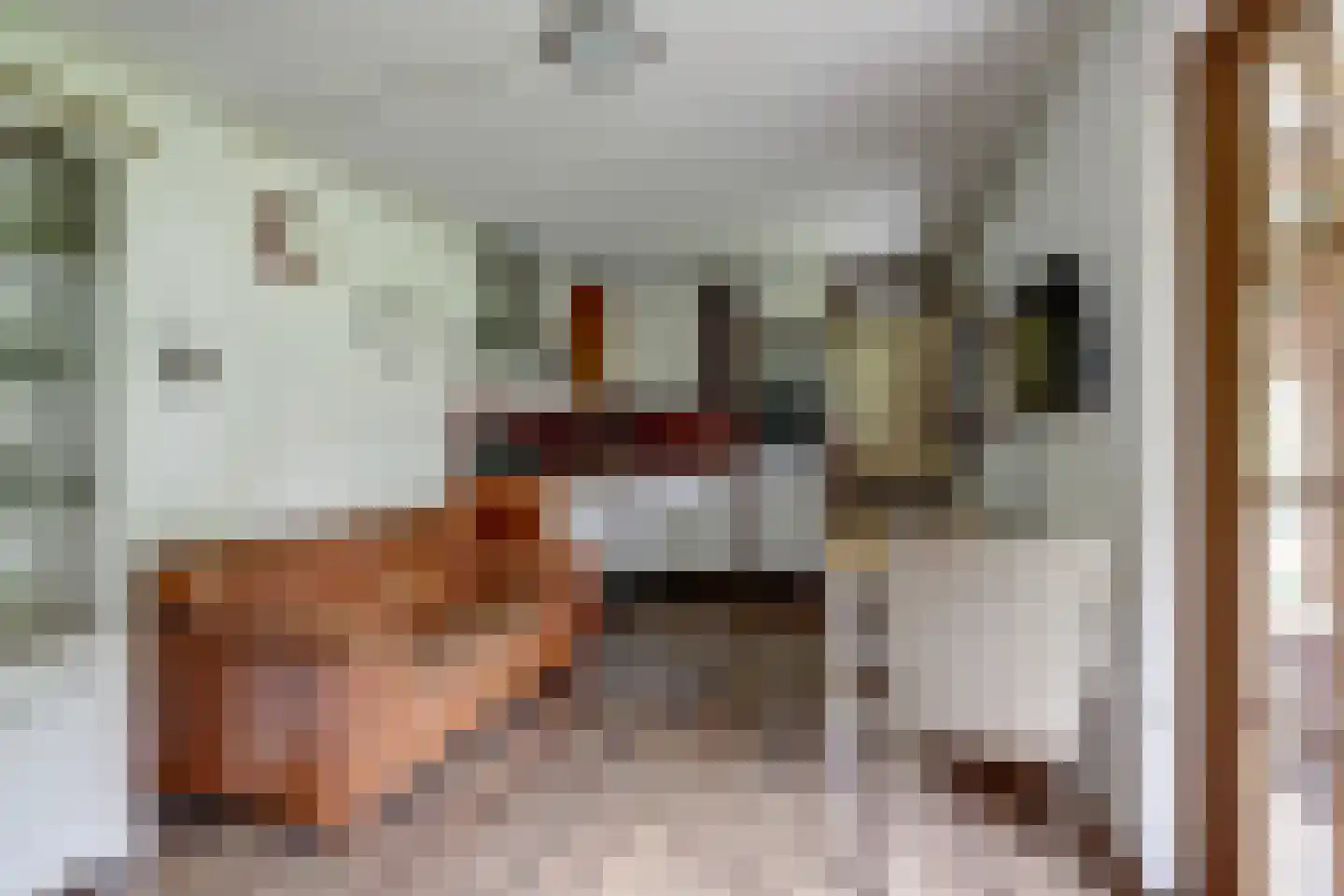 Dorpsstraat 48 Zuidlaarderveen thumbnail 53