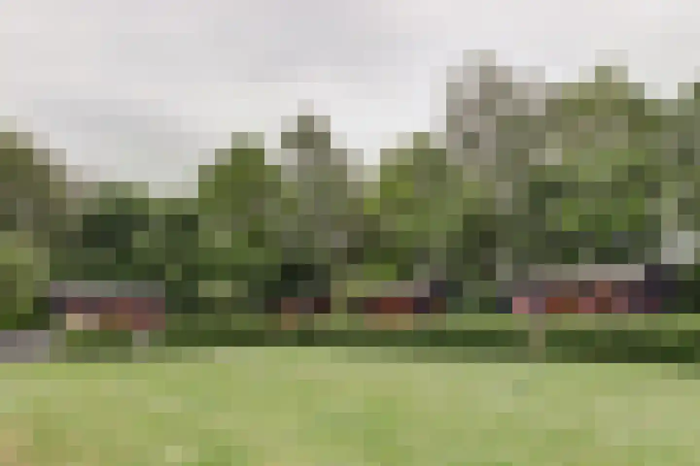 Dorpsstraat 48 Zuidlaarderveen thumbnail 54