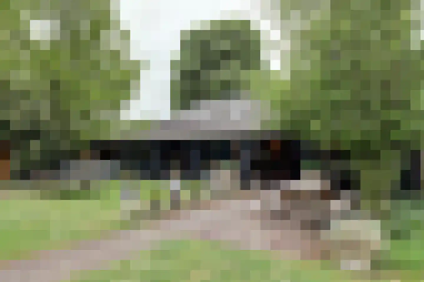 Dorpsstraat 48 Zuidlaarderveen thumbnail 57
