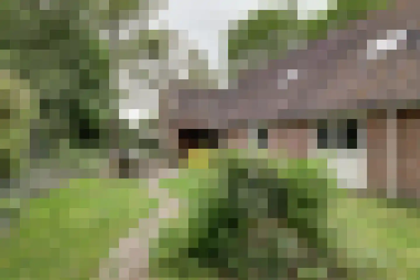 Dorpsstraat 48 Zuidlaarderveen thumbnail 6