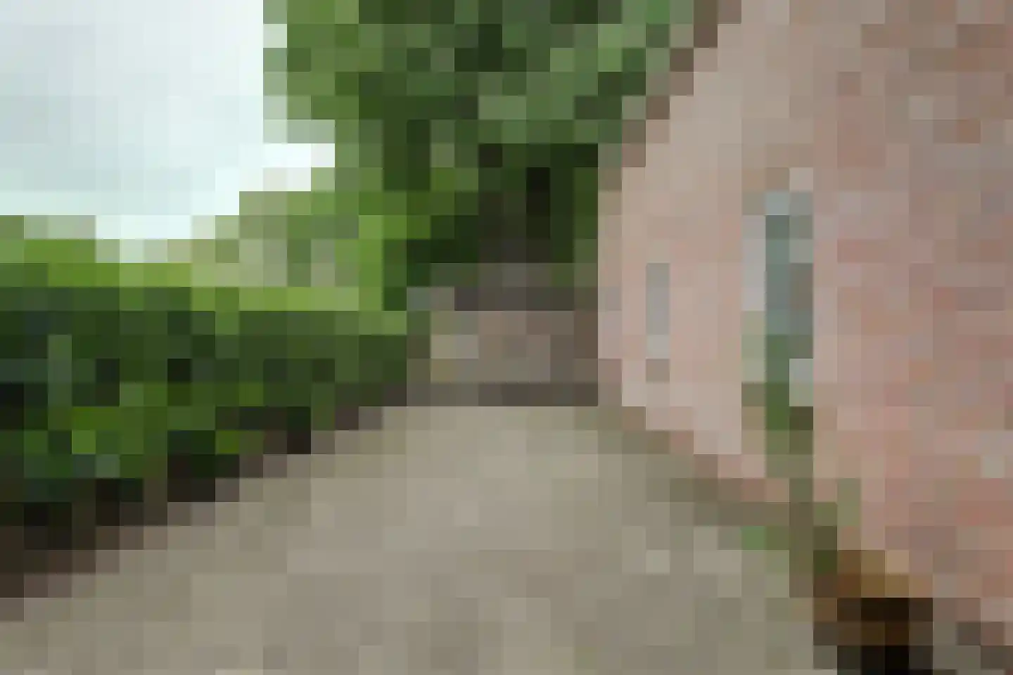 Dorpsstraat 48 Zuidlaarderveen thumbnail 64