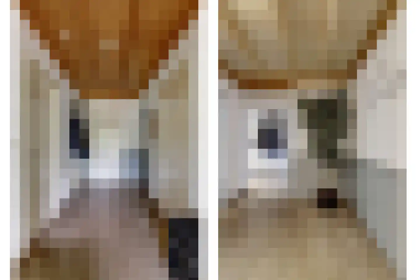 Dorpsstraat 48 Zuidlaarderveen thumbnail 8