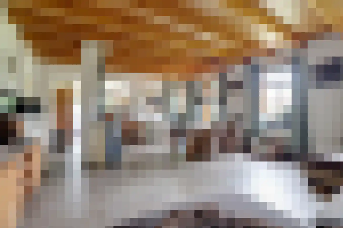Dorpsstraat 48 Zuidlaarderveen thumbnail 9