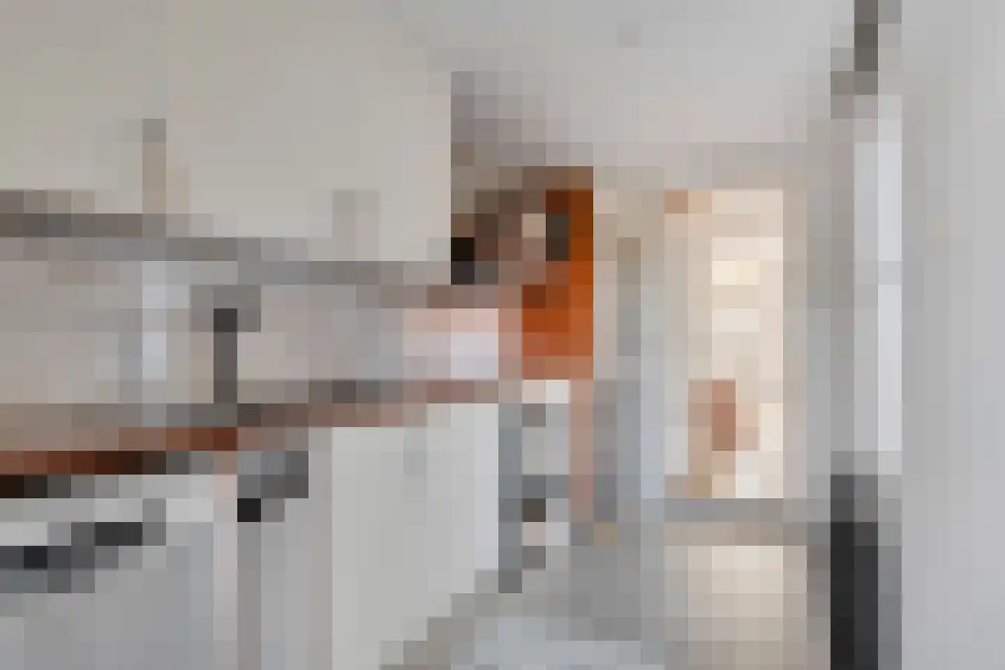 Dorpsstraat 484 Assendelft thumbnail 11