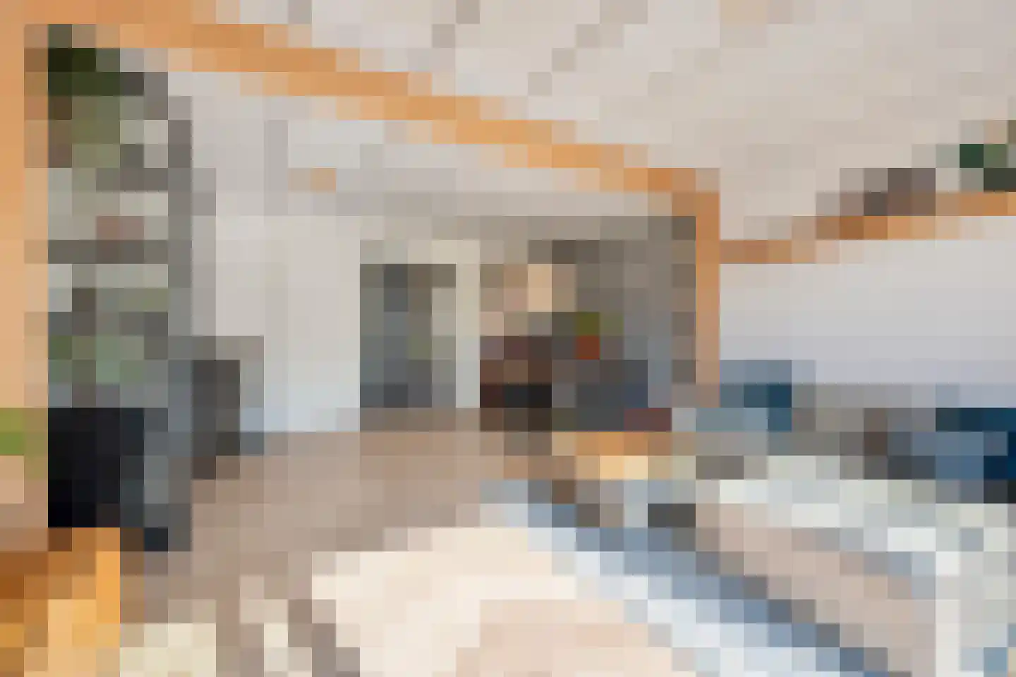 Dorpsstraat 485 A Assendelft thumbnail 15