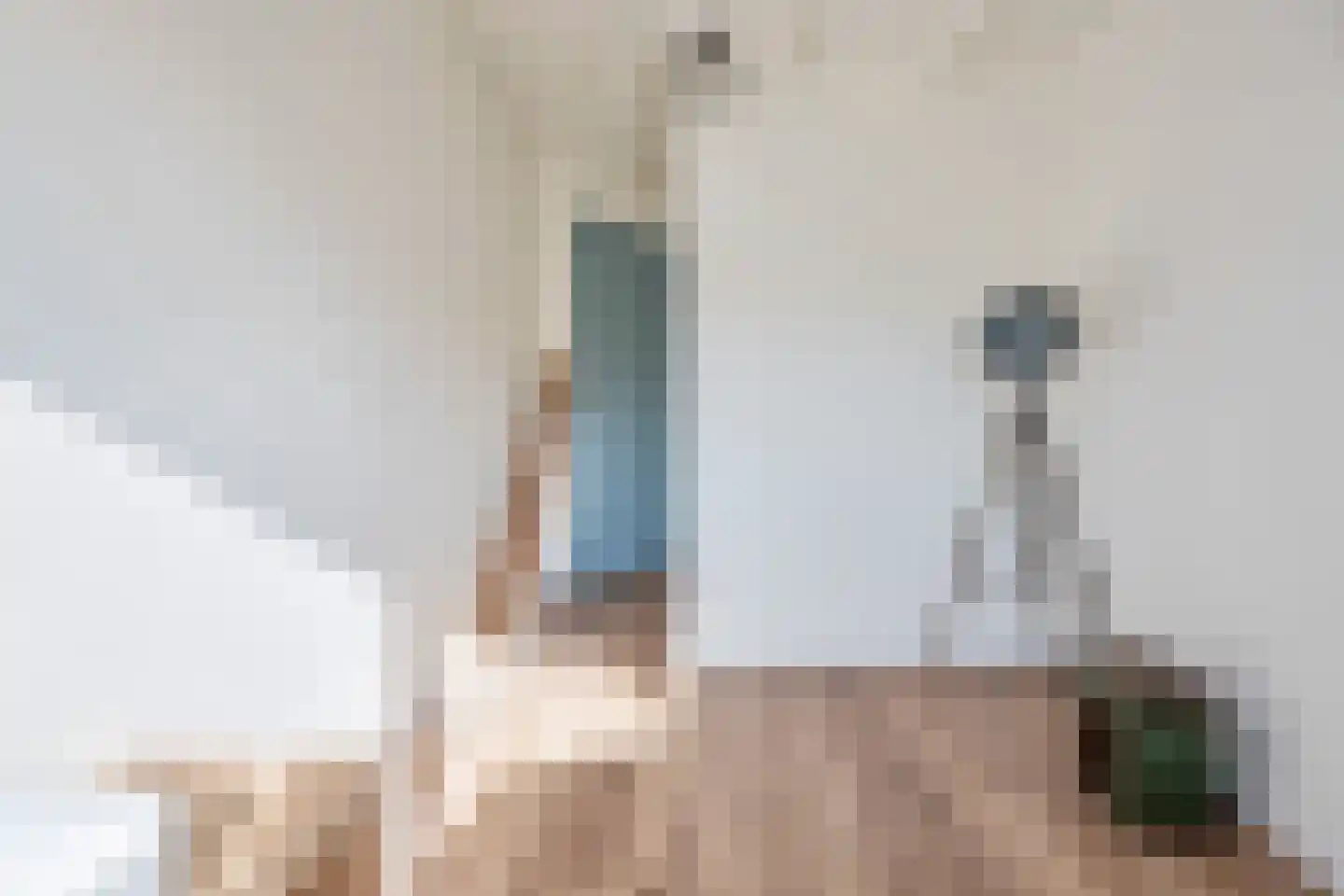 Dorpsstraat 485 A Assendelft thumbnail 32