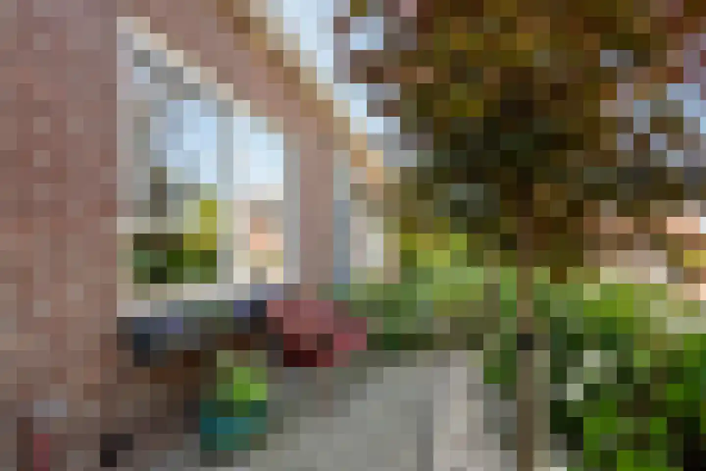 Dorpsstraat 485 A Assendelft thumbnail 38