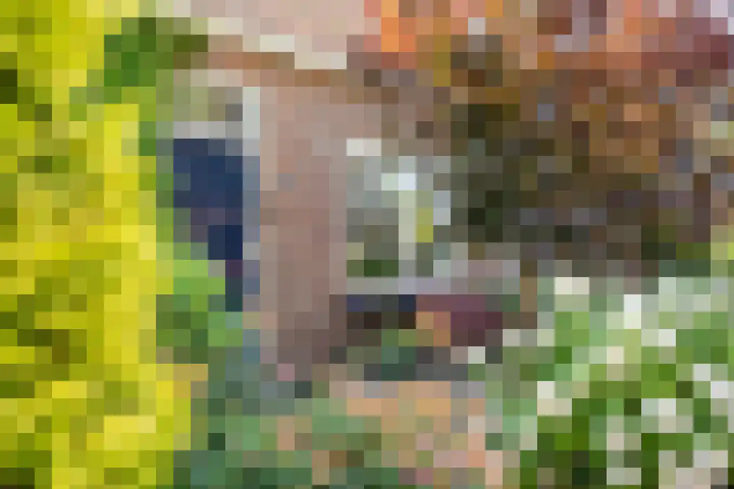Dorpsstraat 485 A Assendelft thumbnail 6