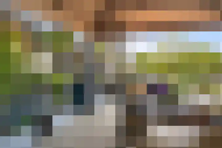 Dorpsstraat 49 D Lunteren thumbnail 15