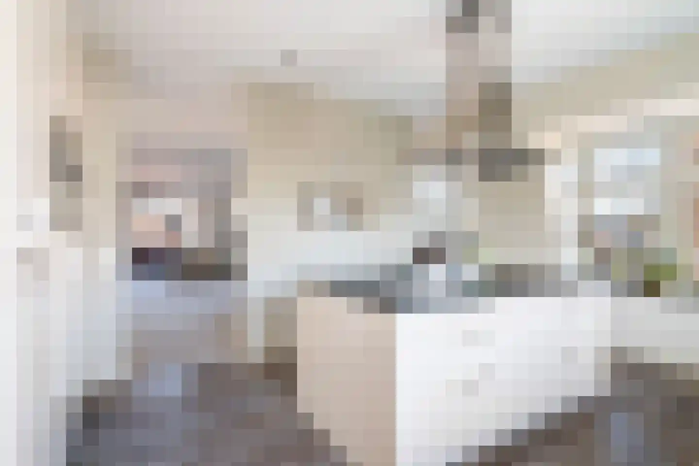 Dorpsstraat 49 E Lunteren thumbnail 11
