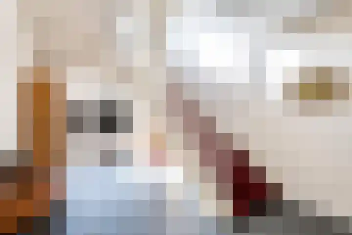 Dorpsstraat 49 E Lunteren thumbnail 43