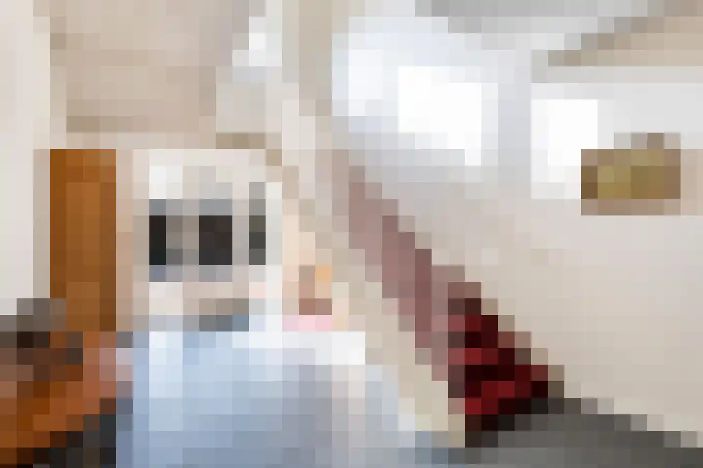 Dorpsstraat 49 E Lunteren thumbnail 43