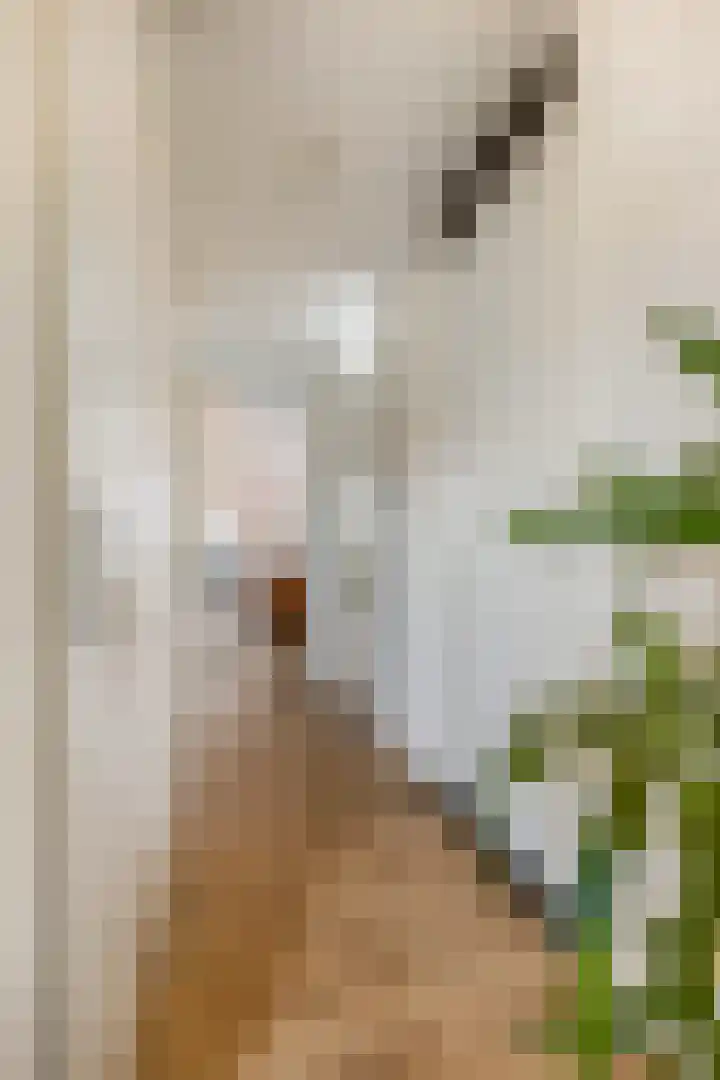 Dorpsstraat 49 H Bennekom thumbnail 24