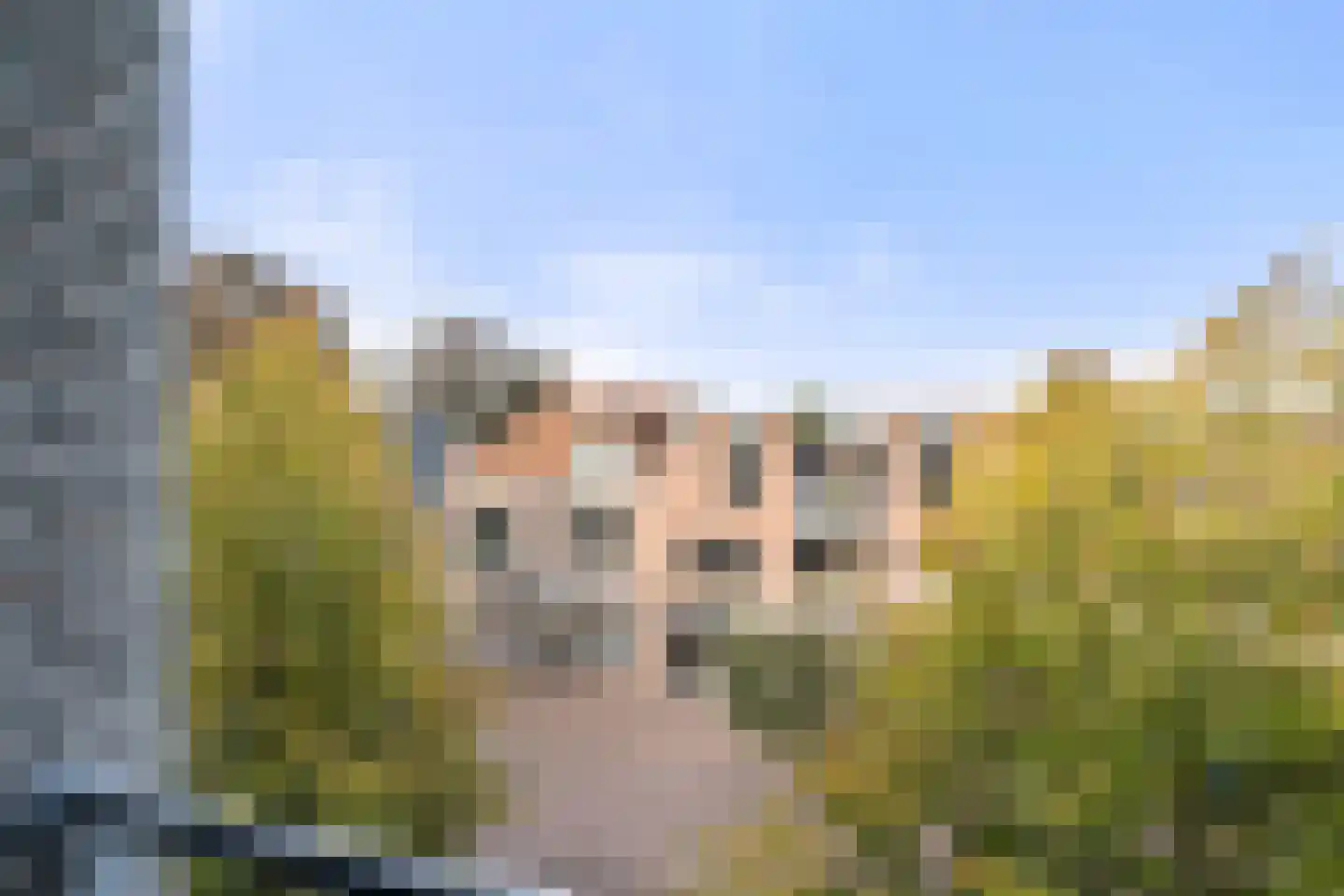 Dorpsstraat 49 J Bennekom thumbnail 30