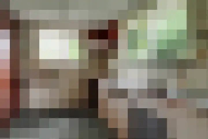 Dorpsstraat 49 Nieuwe Niedorp thumbnail 15
