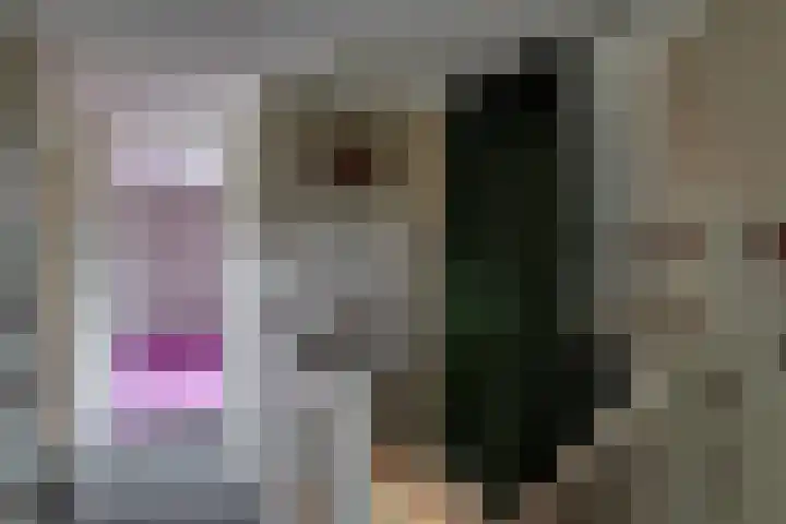 Dorpsstraat 49 Nieuwe Niedorp thumbnail 22