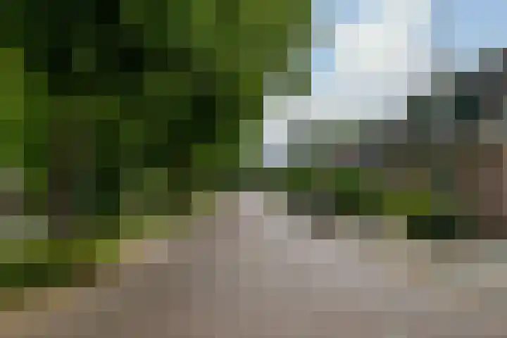 Dorpsstraat 49 Nieuwe Niedorp thumbnail 39