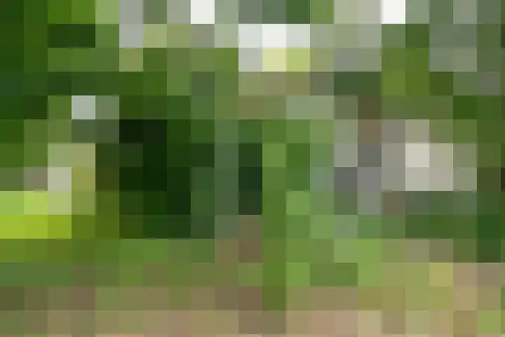 Dorpsstraat 49 Nieuwe Niedorp thumbnail 4