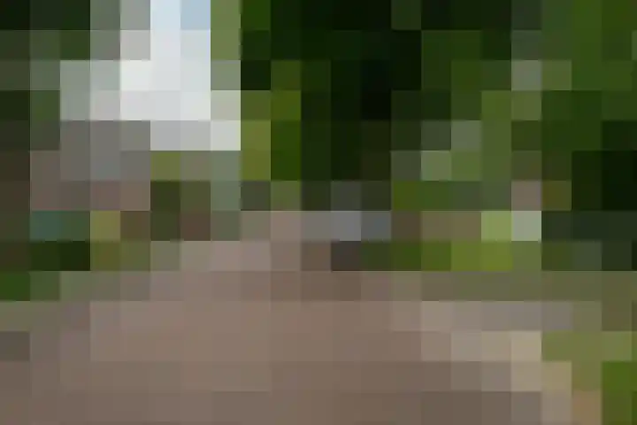 Dorpsstraat 49 Nieuwe Niedorp thumbnail 40