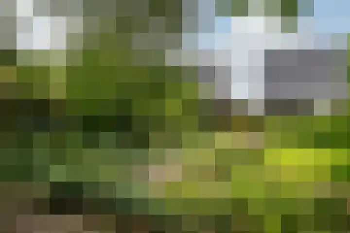 Dorpsstraat 49 Nieuwe Niedorp thumbnail 44