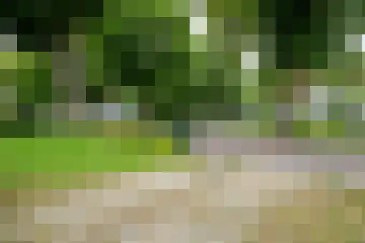 Dorpsstraat 49 Nieuwe Niedorp thumbnail 5