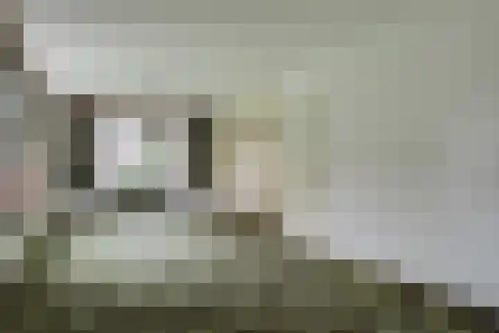 Dorpsstraat 49 Nieuwe Niedorp thumbnail 9