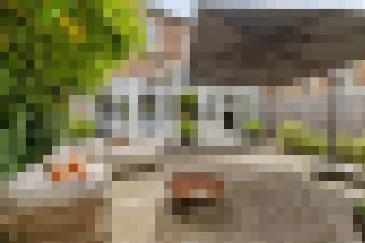 Dorpsstraat 49 Nigtevecht thumbnail 24
