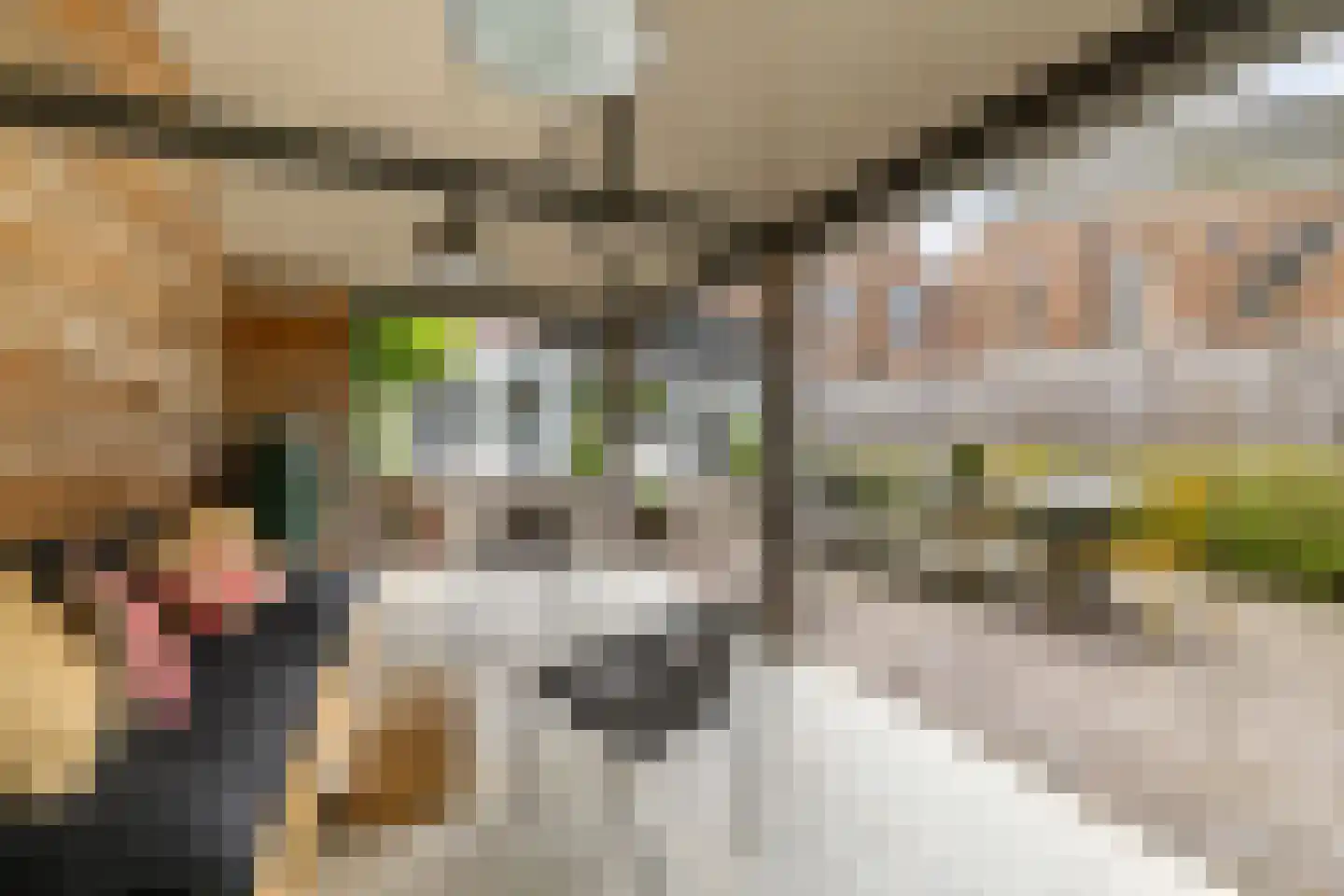 Dorpsstraat 49 Nigtevecht thumbnail 30