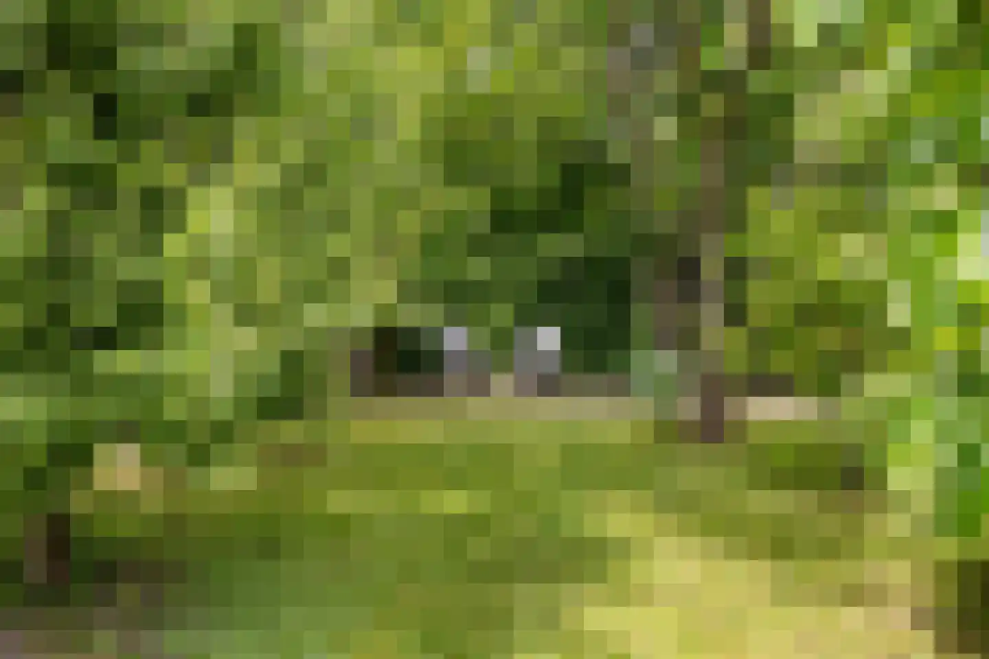 Dorpsstraat 49 Nigtevecht thumbnail 32