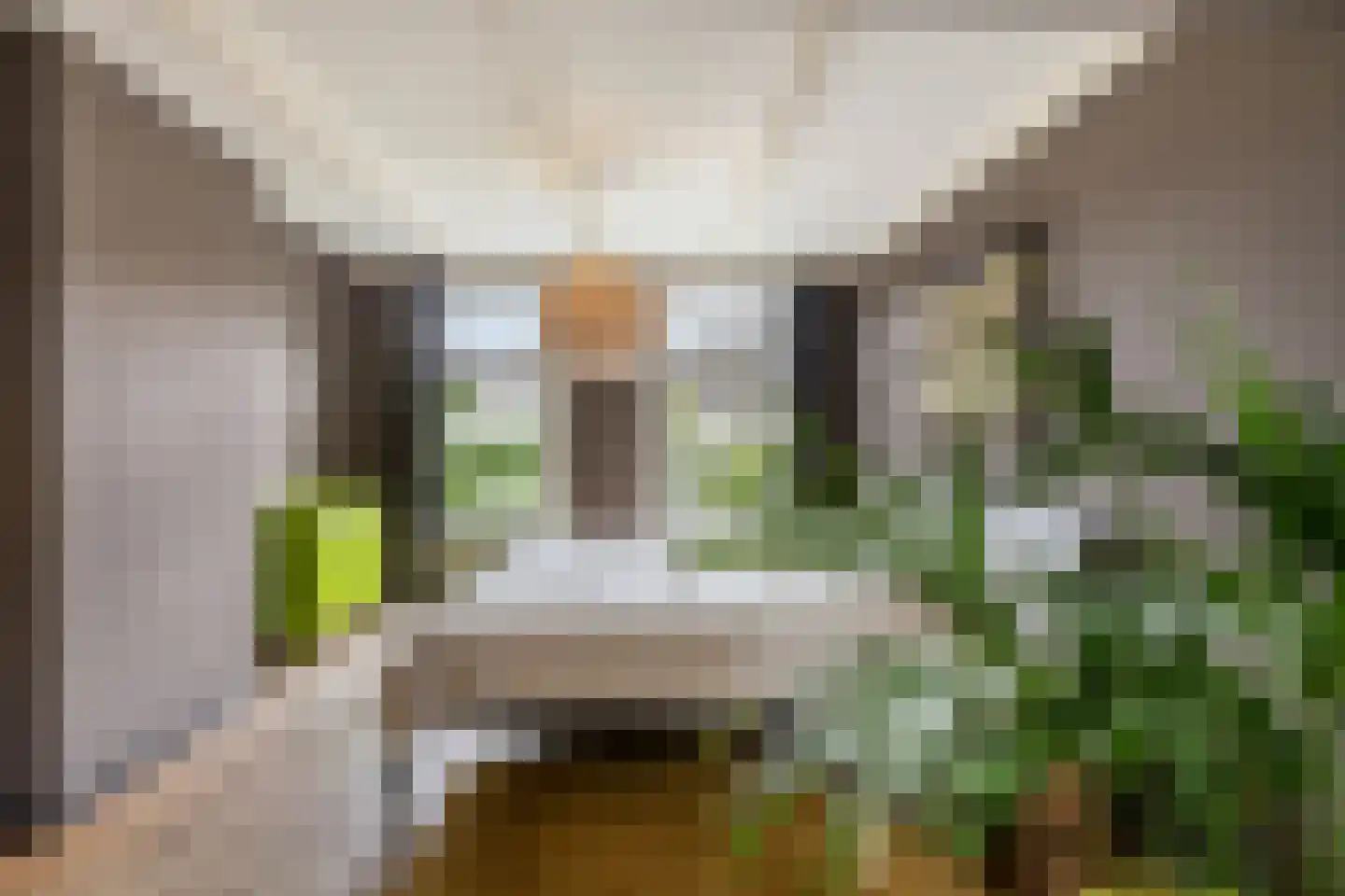 Dorpsstraat 49 Nigtevecht thumbnail 38