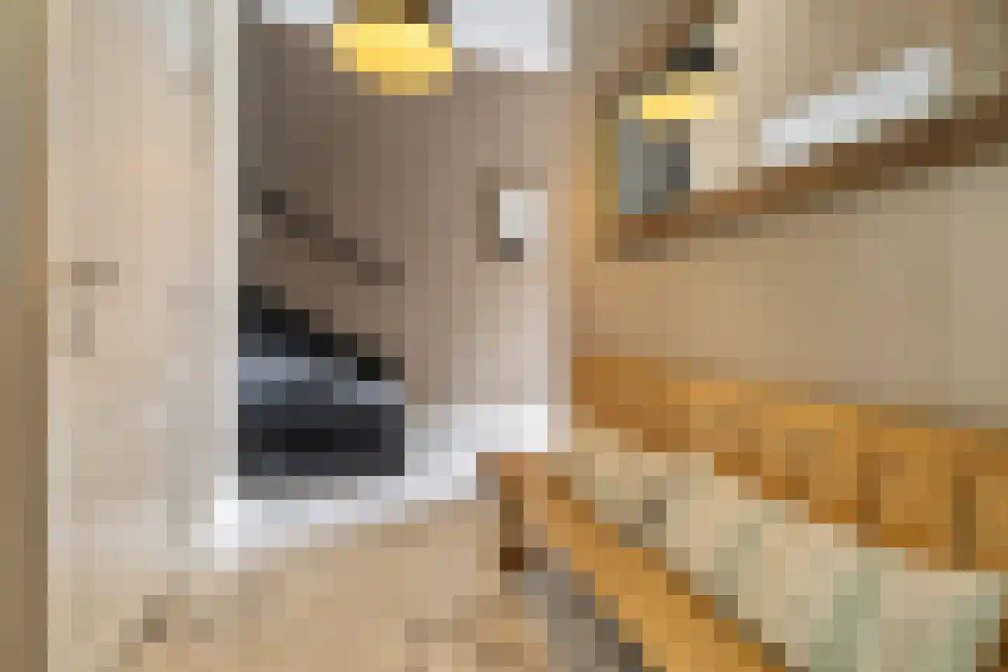 Dorpsstraat 49 Nigtevecht thumbnail 8