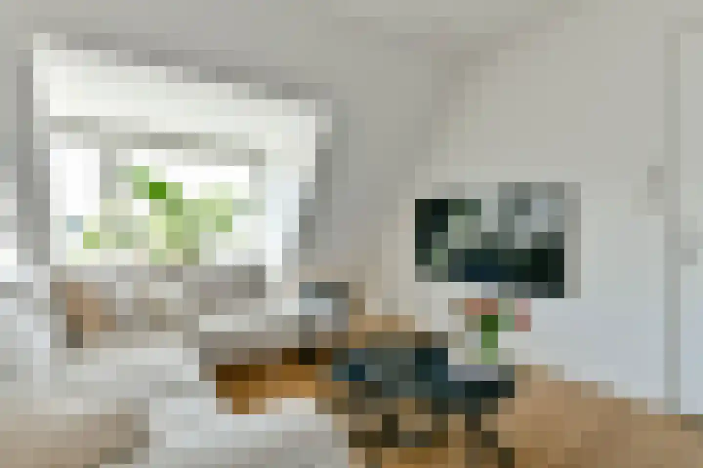 Dorpsstraat 49 Ouderkerk aan de Amstel thumbnail 5