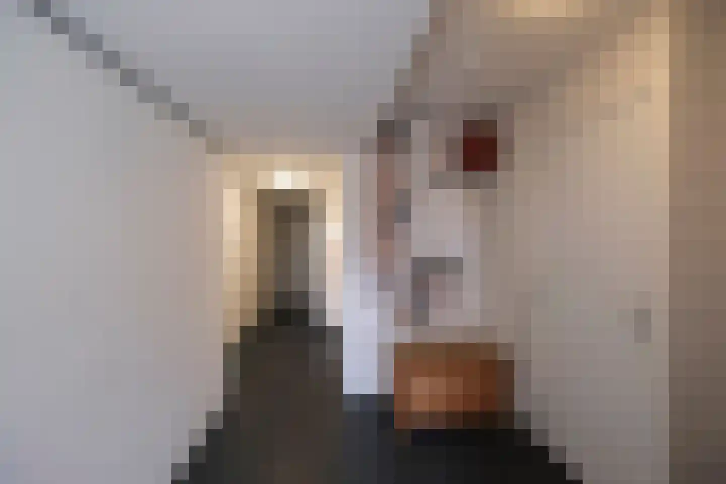 Dorpsstraat 49 Tuitjenhorn thumbnail 21