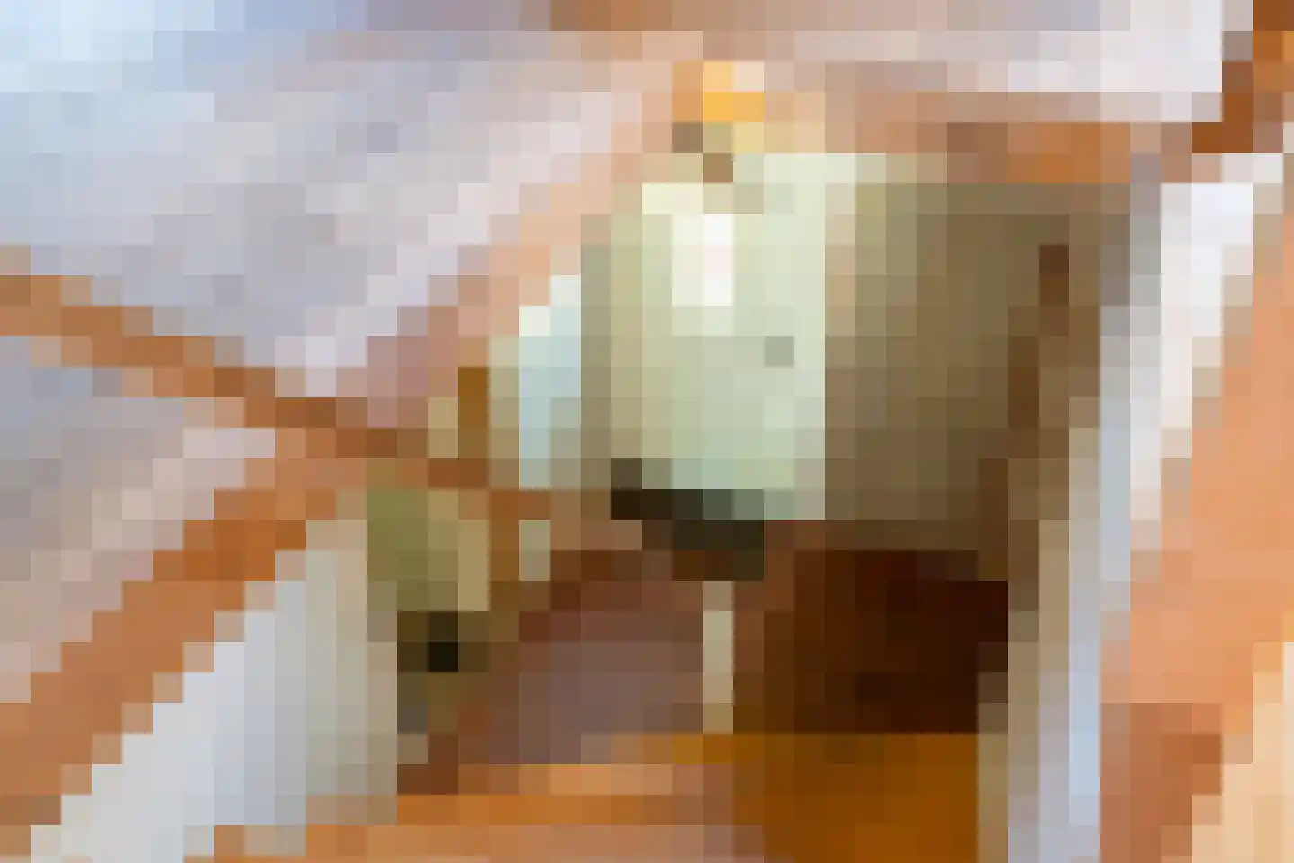 Dorpsstraat 5 a Aalst thumbnail 18