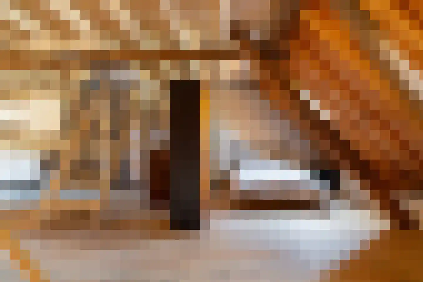 Dorpsstraat 5 a Aalst thumbnail 24