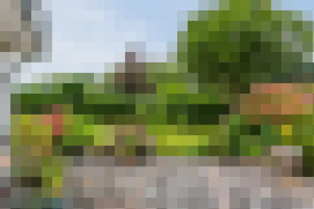 Dorpsstraat 5 Afferden L thumbnail 15