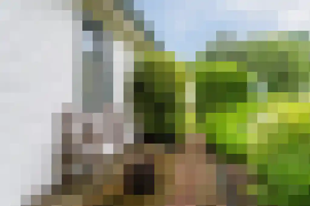 Dorpsstraat 5 Afferden L thumbnail 18