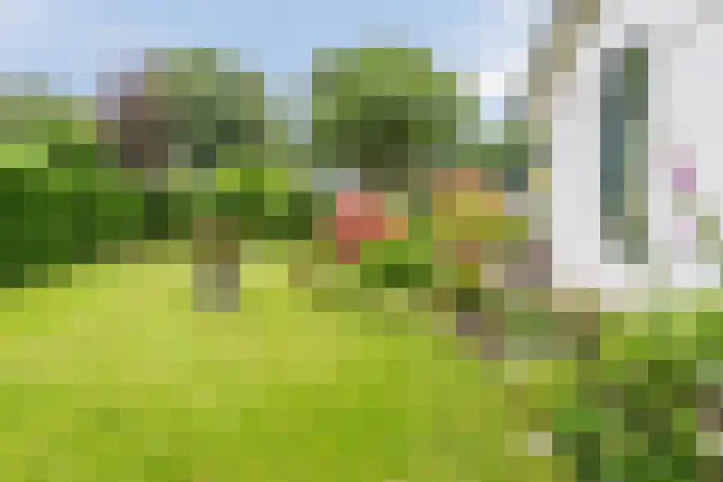 Dorpsstraat 5 Afferden L thumbnail 5
