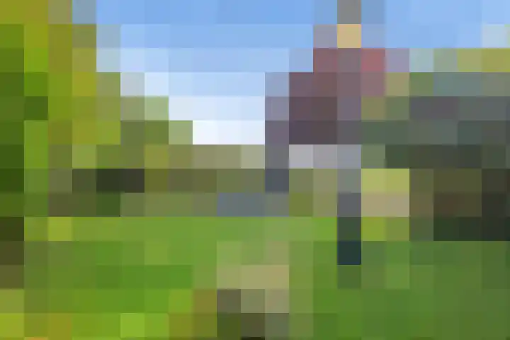 Dorpsstraat 5 Assendelft thumbnail 10
