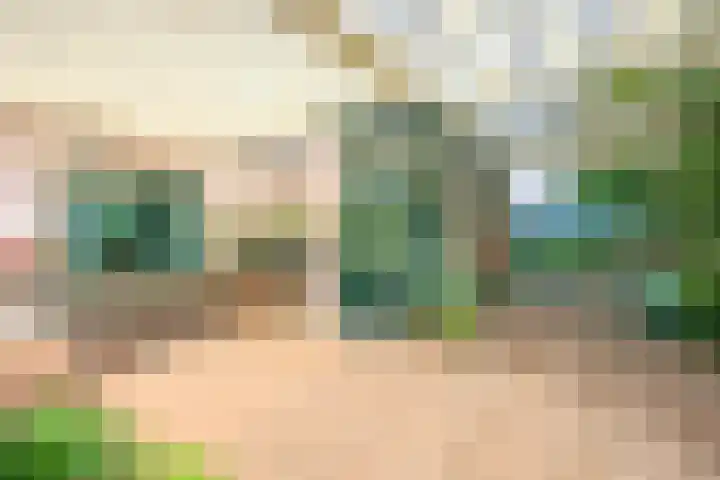 Dorpsstraat 5 Assendelft thumbnail 15