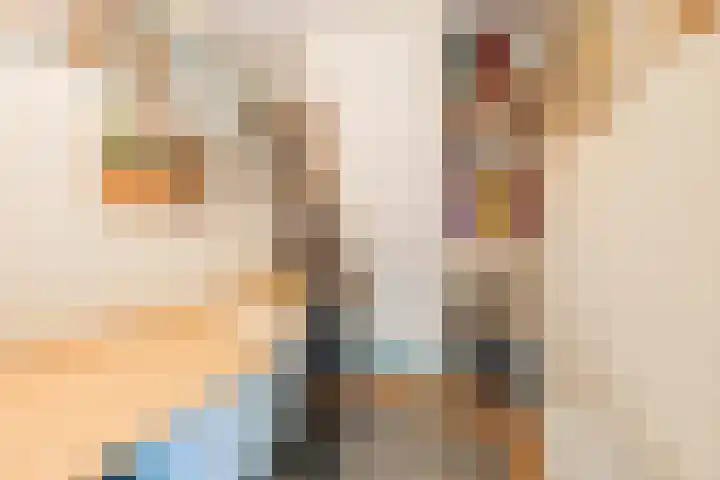 Dorpsstraat 5 Assendelft thumbnail 18