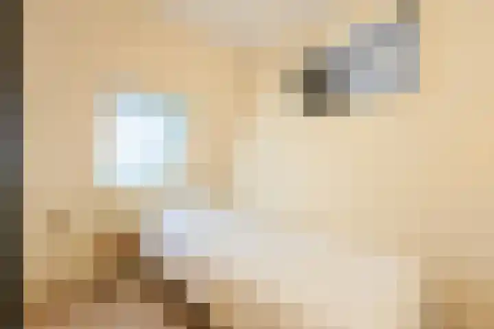 Dorpsstraat 5 Assendelft thumbnail 21