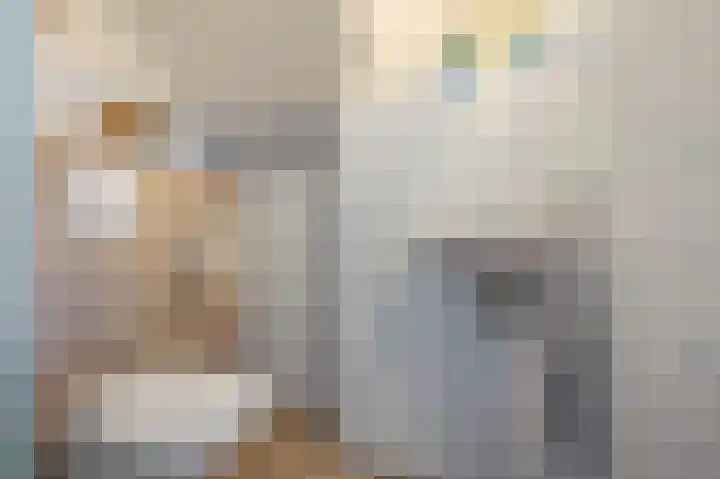 Dorpsstraat 5 Assendelft thumbnail 33