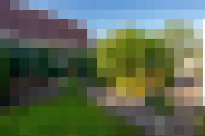 Dorpsstraat 5 Assendelft thumbnail 37