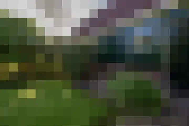 Dorpsstraat 5 Assendelft thumbnail 43